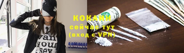 тгк Инта
