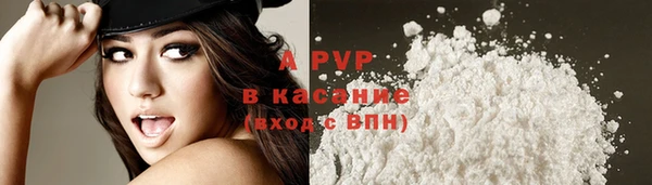 молекула духа Иннополис