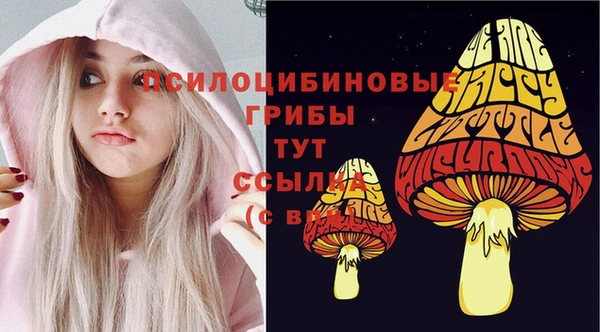 тгк Инта