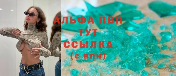 тгк Инта